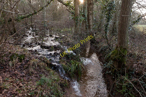 Photo 6"x4" Waterfall in Sawpit Copse Burridge\/SU5110 c2011