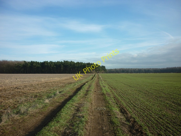 Photo 6"x4" A footpath to Broughton Broughton\/SE9608 c2011