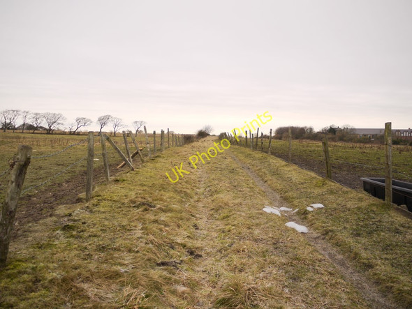 Photo 6"x4" Track north of Stob House Annfield Plain c2011