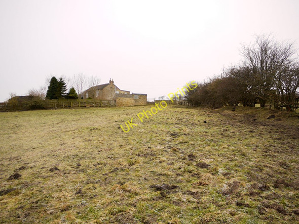 Photo 6"x4" Path to Raisenside Farm Annfield Plain c2011