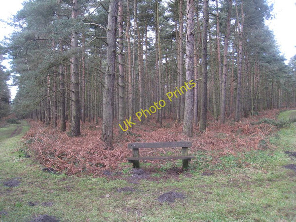 Photo 6"x4" Seat at the junction of rides in Rowland Plantation Broughton Common c2011