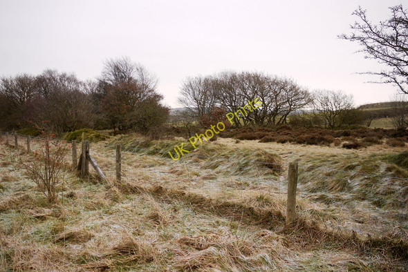 Photo 6"x4" Old lane east of Catchgate Annfield Plain c2011
