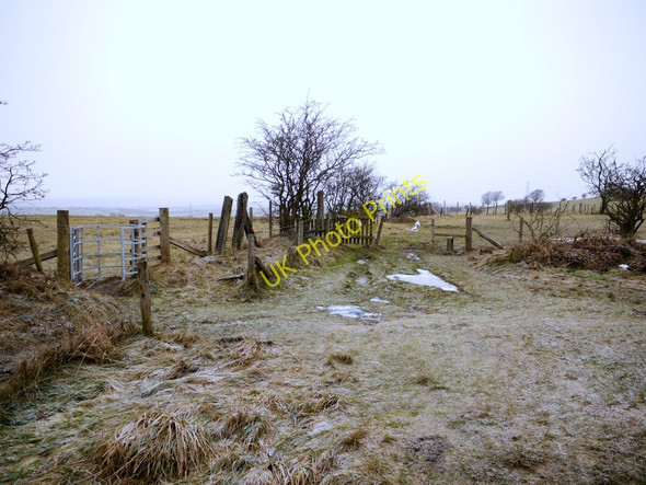 Photo 6"x4" Path junction west of Catchgate Annfield Plain c2011
