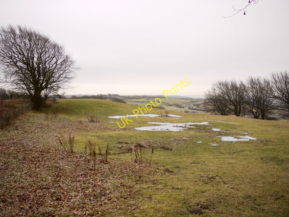 Photo 6"x4" Field south of Pontop Pike Stony Heap c2011