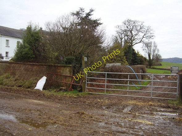 Photo 6"x4" Footpath to Sidford Sidbury\/SY1391 c2011