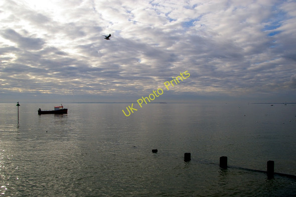 Photo 6"x4" Groyne, Southend-on-Sea, Essex Southend-on-Sea c2011