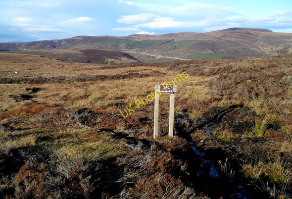 Photo 6"x4" Glenview Point - Dunrobin Glen Backies\/NC8302 c2011