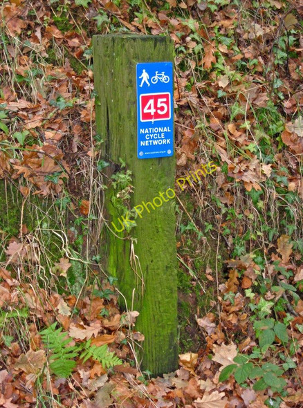 Photo 6"x4" National Cycle Network route 45 marker post, Leapgate Country Park Stourport-on-Severn c2010