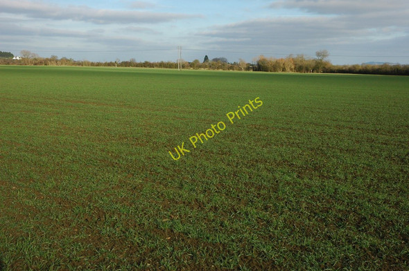 Photo 6"x4" Arable land near Wickhamford Murcot c2011
