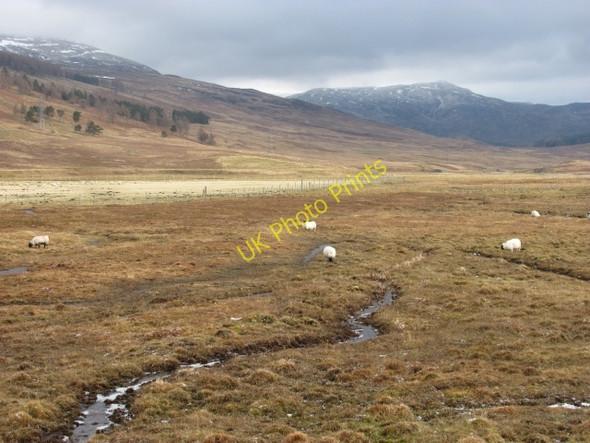 Photo 6"x4" Wetland beside the Spey Meall an Domhnaich c2011