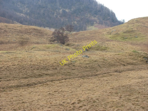 Photo 6"x4" Rough grazing by the Spey Dam Feagour c2011