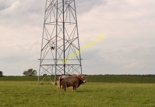 Photo 6"x4" Hardmuir - pylon and guardian! Near Macbeth's Hillock Dyke\/NH9858 c2006