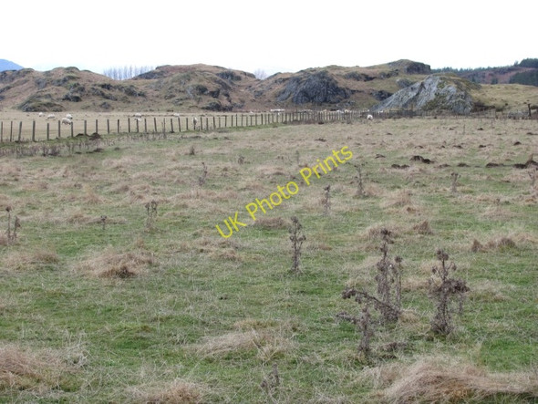 Photo 6"x4" Winter pasture, Blargie Crathie\/NN5894 c2011