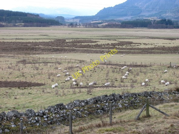Photo 6"x4" Spey flood plain, Blargie Gergask c2011