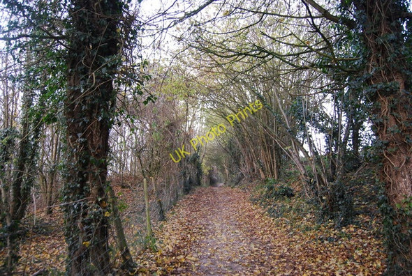 Photo 6"x4" North Downs Way Charing c2010