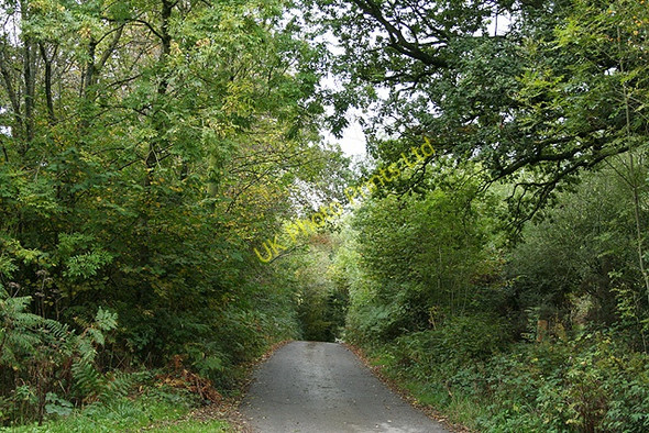 Photo 6"x4" Brushford: by Trackford Moor Oldways End c2006