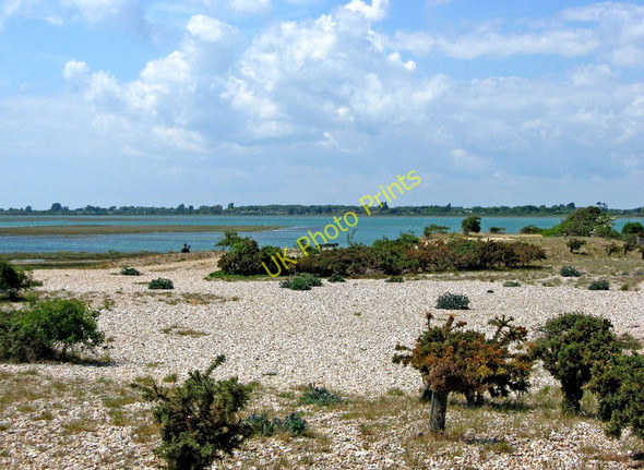 Photo 6"x4" Pagham Harbour Pagham c2010