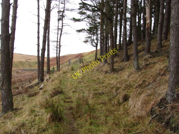 Photo 6"x4" Leaving Cloich Forest Damside\/NT1648 c2011