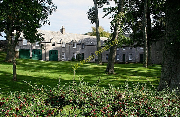 Photo 6"x4" Old Cullen Cullen\/NJ5167 c2006