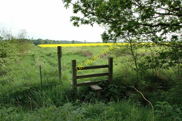 Photo 6"x4" Stile to Back Lane Dunham Woodhouses c2008