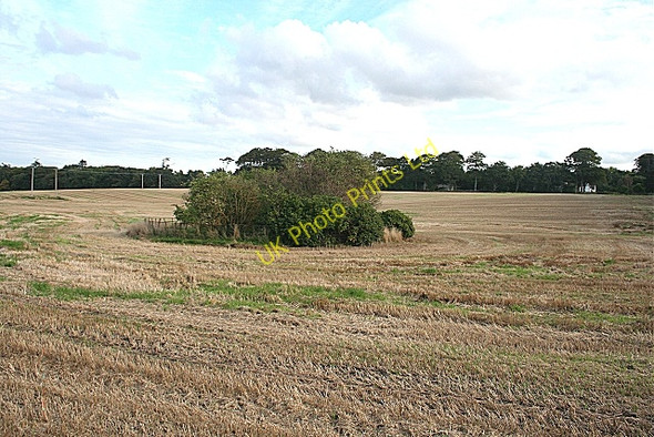 Photo 6"x4" Cullen Estate Cullen\/NJ5167 c2006