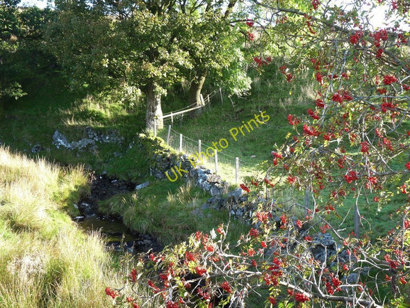Photo 6"x4" A corner of the Garpel Burn Lochwinnoch c2009