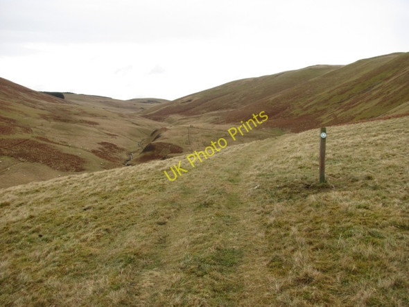 Photo 6"x4" Fingland Burn Damside\/NT1648 c2011