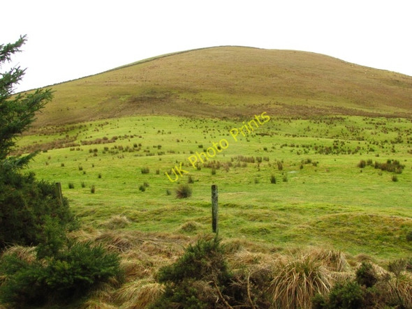 Photo 6"x4" Drum Maw Damside\/NT1648 c2011