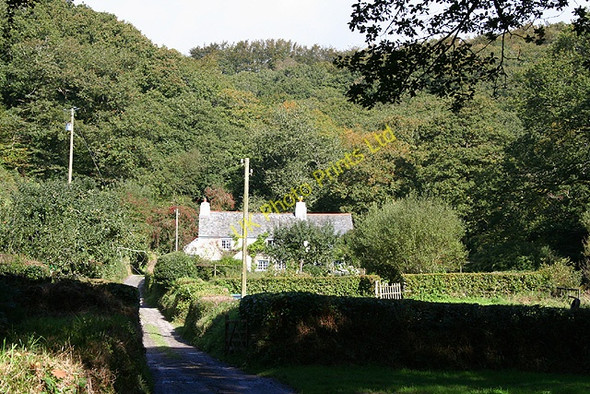 Photo 6"x4" Twitchen: entrance to Badgercombe Twitchen\/SS7830 c2006