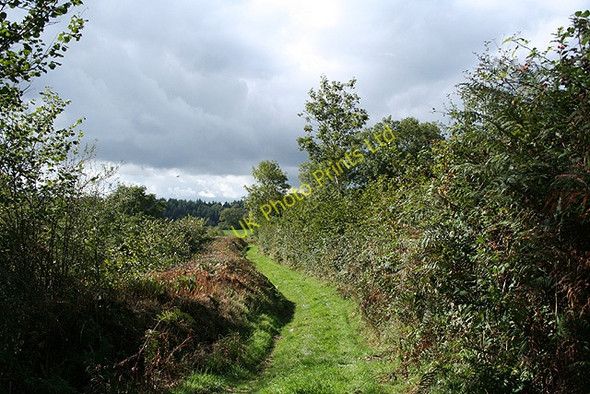 Photo 6"x4" Twitchen: public footpath Twitchen\/SS7830 c2006