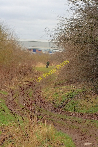 Photo 6"x4" Path Along the Trent Carlton\/SK6041 c2011