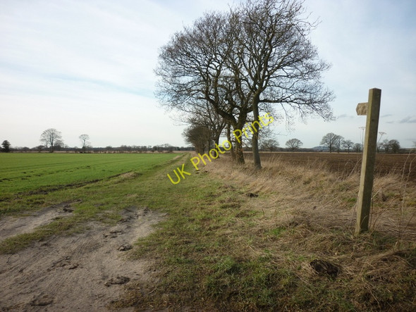 Photo 6"x4" A bridleway to Martin Priory Moxby c2011