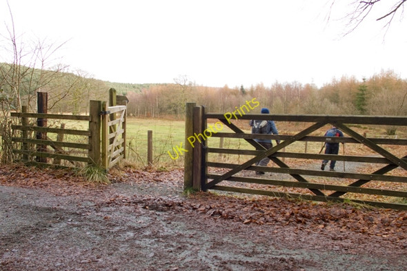 Photo 6"x4" Start of footpath to Cunsey Bridge High Cunsey c2011