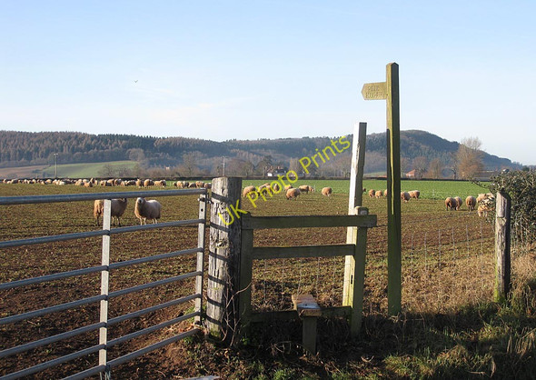 Photo 6"x4" Footpath to Bury Hill Bromsash c2011