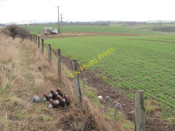 Photo 6"x4" Winter crops, Reston Reston\/NT8862 c2011