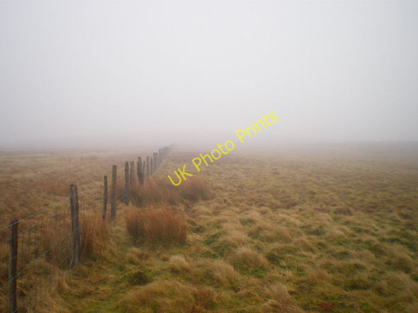 Photo 6"x4" A fence in the mist Pandy\/SH6202 c2011