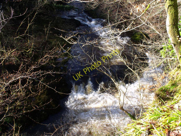 Photo 6"x4" River Carron Denny c2011