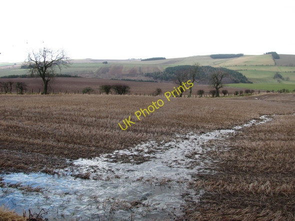 Photo 6"x4" Return of a watercourse Houndwood c2011