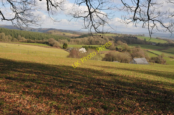 Photo 6"x4" Monmouthshire countryside Coed-y-paen c2011