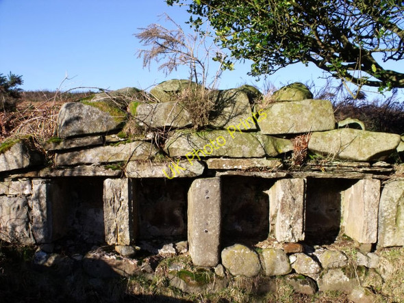 Photo 6"x4" Wester Barnego (ruin) Bee Boles Denny c2011