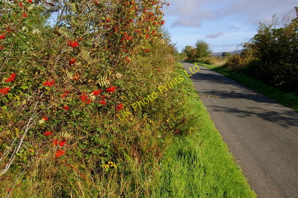 Photo 6"x4" Road at Viol Moor Park Head\/NY5841 c2006