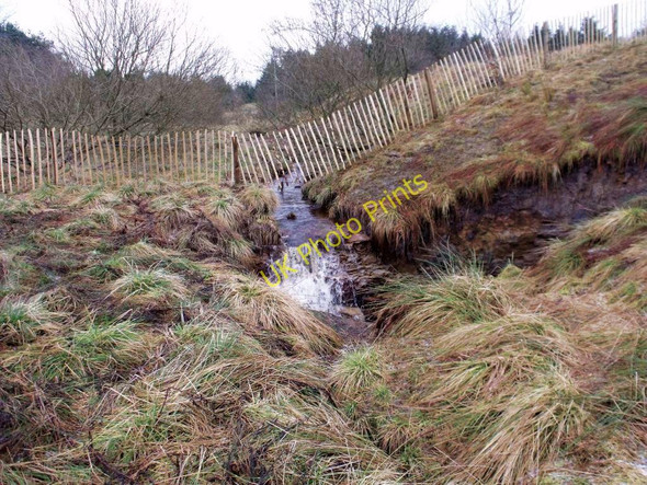 Photo 6"x4" Cumbernauld, Palacerigg Cumbernauld c2011 P3