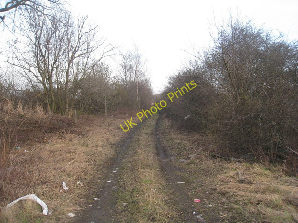 Photo 6"x4" Course of the Gunhouse Wharf Branch Gunness c2011