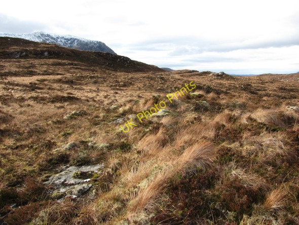 Photo 6"x4" Moorland near Loch Beinn a' Chaoinich Glenelg c2011