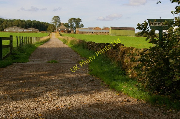 Photo 6"x4" Ladyrigg Farm Salkeld Dykes c2006