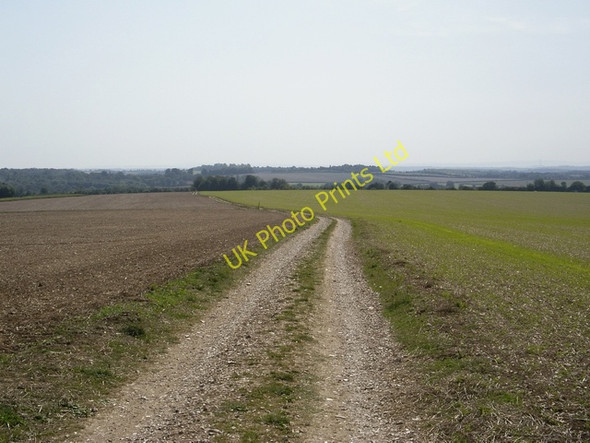 Photo 6"x4" Warren Lane Lane End\/SU5525 c2006