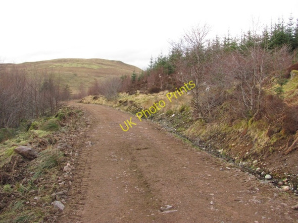 Photo 6"x4" Logging road, Glen More Ratagan c2011