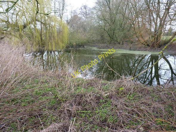 Photo 6"x4" Pool at Ewdness Farm Newton\/SO7397 c2011