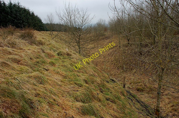 Photo 6"x4" Old quarry, Deepsyke Forest Carlops c2011