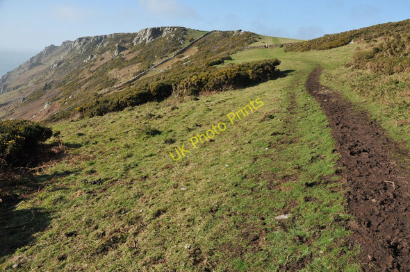 Photo 6"x4" Coast path above Off Cove Soar\/SX7037 c2011